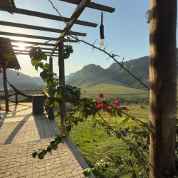 esperancainternacoesmg (1)